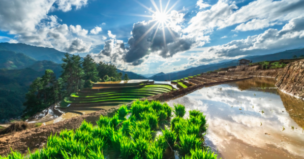 今天开始调试arm的板子，要通过tftp下载到板子上，所以又要配置tftp服务器，真的烦死了… (本人酷爱装系统，所以经常都要搞配置) 因为之前已经在Ubuntu下搭建过很多次tftp服务器了，但是一直记不住那一个配置文件的名字(记性太差)，所以每次都要百度。 可是每次百度出来的结果都不一样，而且出入很大，有的过程相当的繁琐，不仅很麻烦，而且搞到最后还没有配置成功。所以干脆写个日志记下来。 tftp服务器最简单安装配置1.安装tftp-server sudo apt-get install tftpd-hpa sudo apt-get install tftp-hpa(假如不需要客户端可以不安装) tftp-hpa是客户端 tftpd-hpa是服务器端 2.配置TFTP服务器 sudo vim /etc/default/tftpd-hpa 将原来的内容改为: TFTP_USERNAME=”tftp” TFTP_ADDRESS=”0.0.0.0:69″ TFTP_DIRECTORY=”tftp根目录” #服务器目录,需要设置权限为777,chomd 777 TFTP_OPTIONS=”-l -c -s” 3.重新启动TFTP服务 sudo service tftpd-hpa restart 4.测试