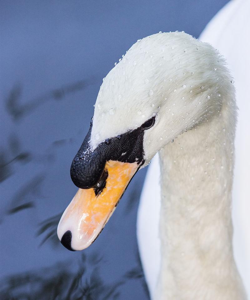 Linux下的mrtg使用